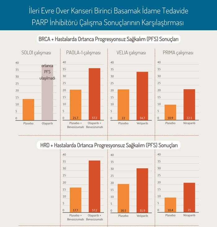 ileri evre over kanseri birinci basamak idame tedavide PARP inhibitoru calisma sonuclarinin karsila