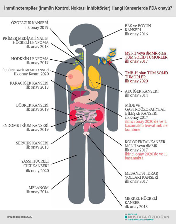 immunoterapi hangi kanser hastalarinda uygulanir fda onayi aldi