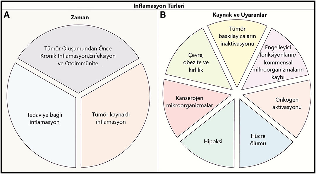 inflamasyon turleri