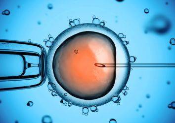 CRISPR İnsan Embriyosunu Düzenlemek İçin Kullanılmaya Başlandı