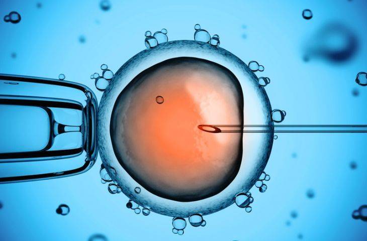 CRISPR insan embriyosunu düzenlemek için kullanılmaya başlandı