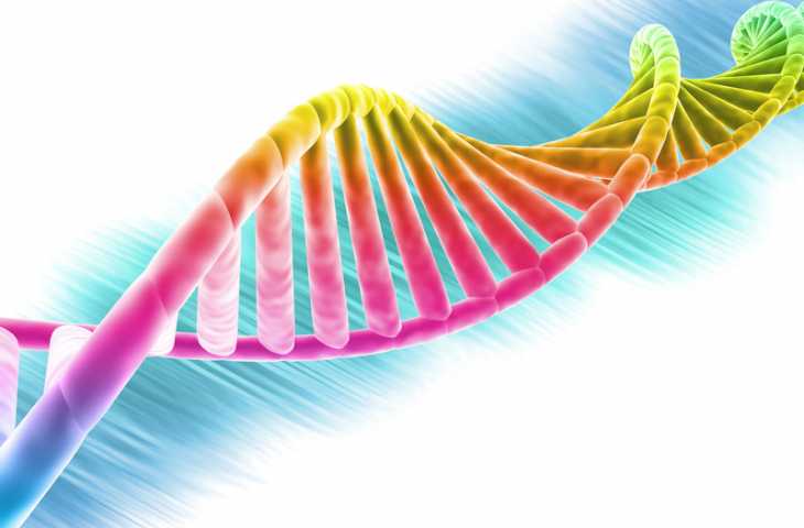 İnsan moleküler genetiği ve genomiği – Önemli gelişmeler ve heyecan verici olasılıklar
