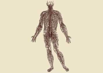 İnsan Vücudunun Yapısı Üzerine 1543 – Vesalius ile anatominin mükemmelleşmesi