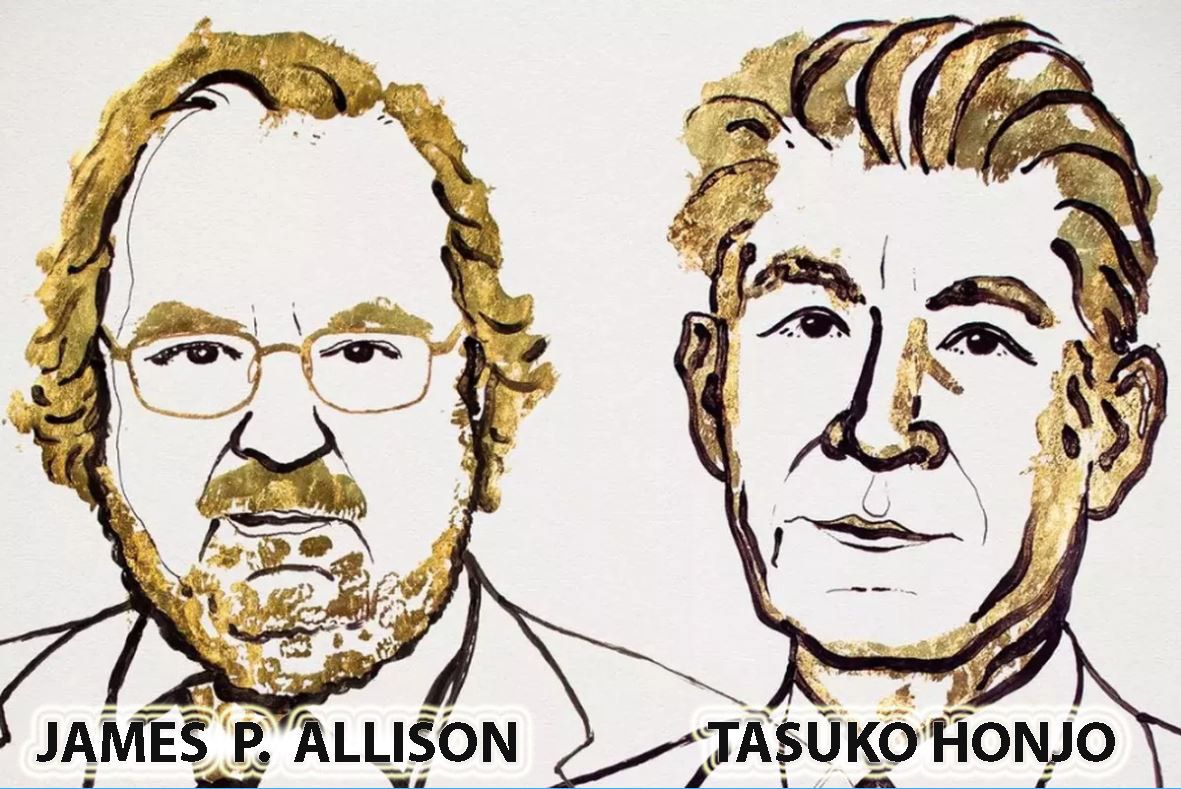 james p allison ve tasuku honjo nobel ödülü 2018 kaner immünoterapi tedavisi