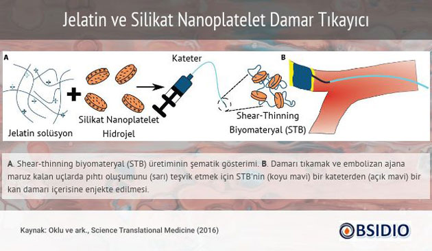 jelatin ve silikat nanoplatelet damar tikayici