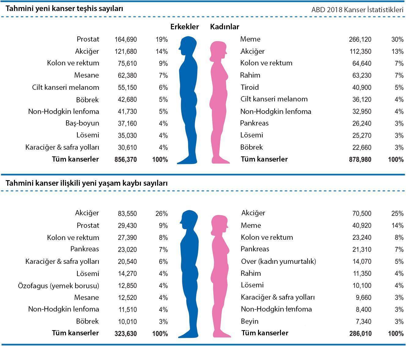 kadın ve erkeklerde en sık görülen kanser çeşitleri adb kanser istatistikleri