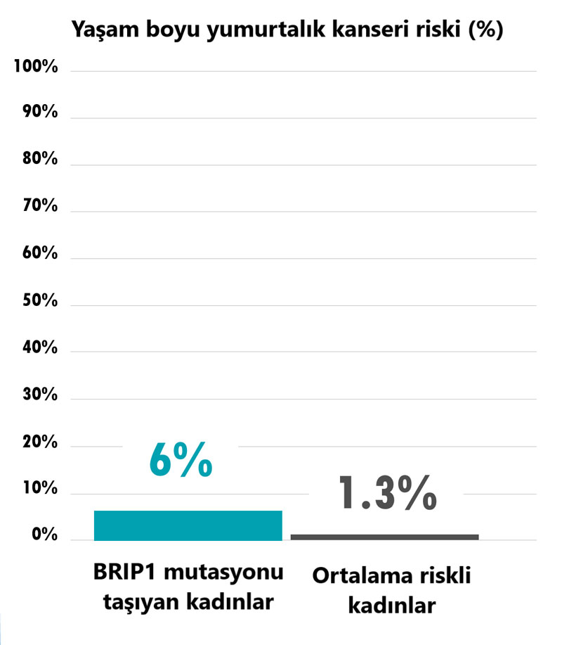 Kalıtsal BRIP1 mutasyonu hangi kanserlerin riskini artırır