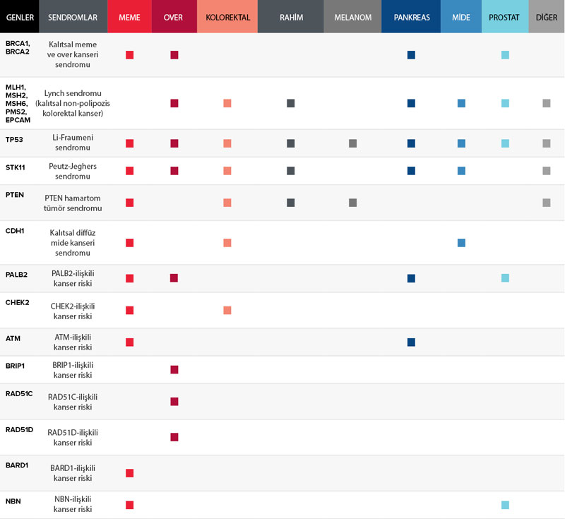 kalıtsal kanser genleri ve mutasyonları nelerdir