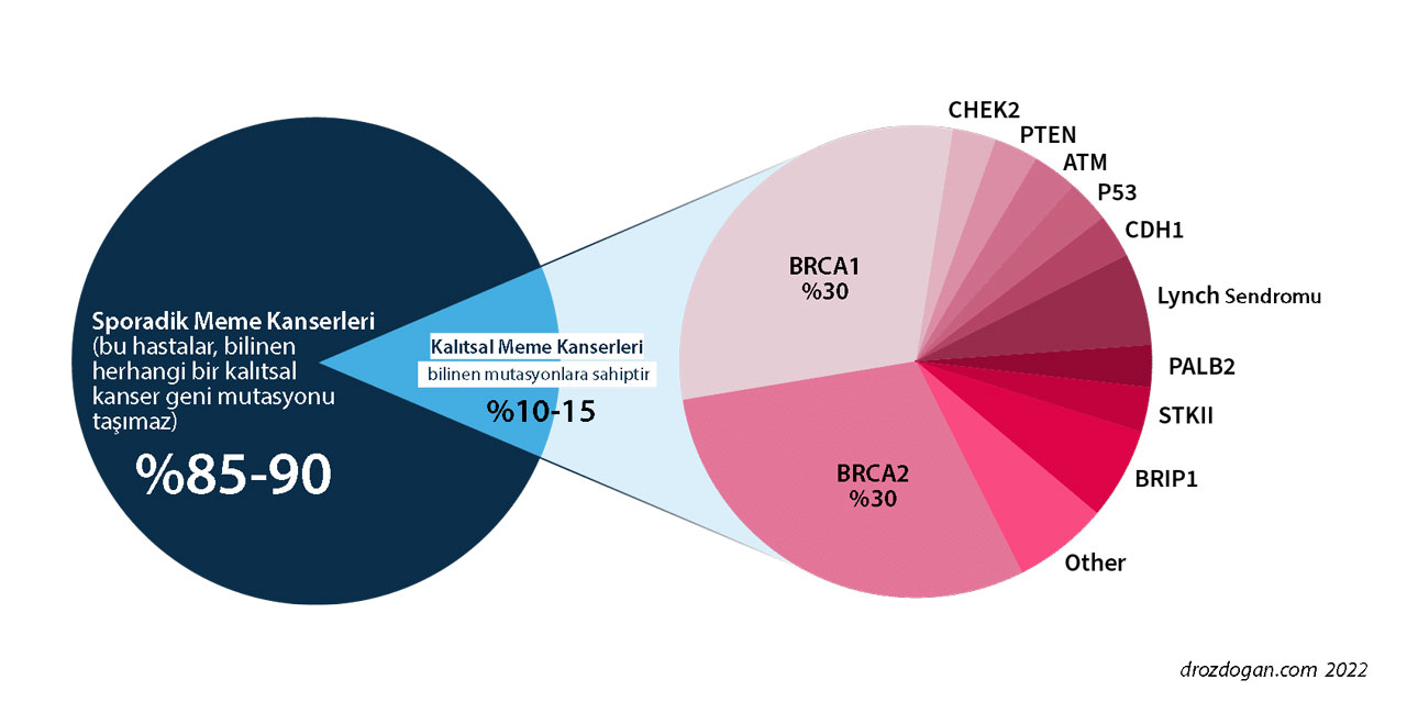 kalıtsal meme kanseri genleri ve mutasyonları brca1 brca2