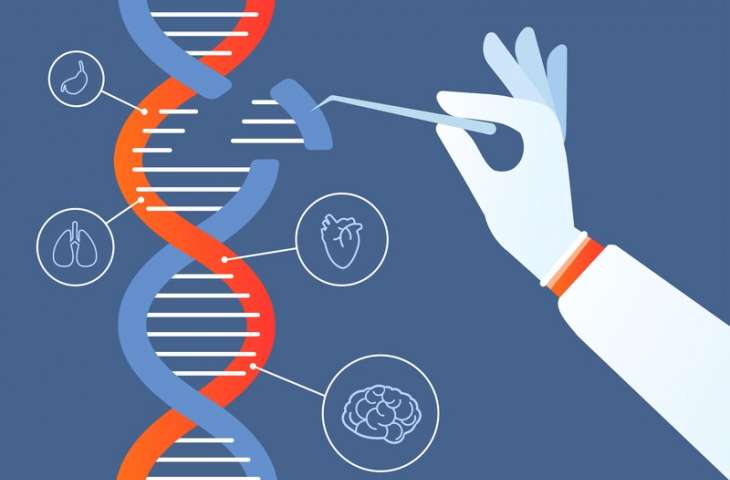 Kanser için önemli gelişme: CRISPR ile 600 yeni ilaç hedefi keşfedildi
