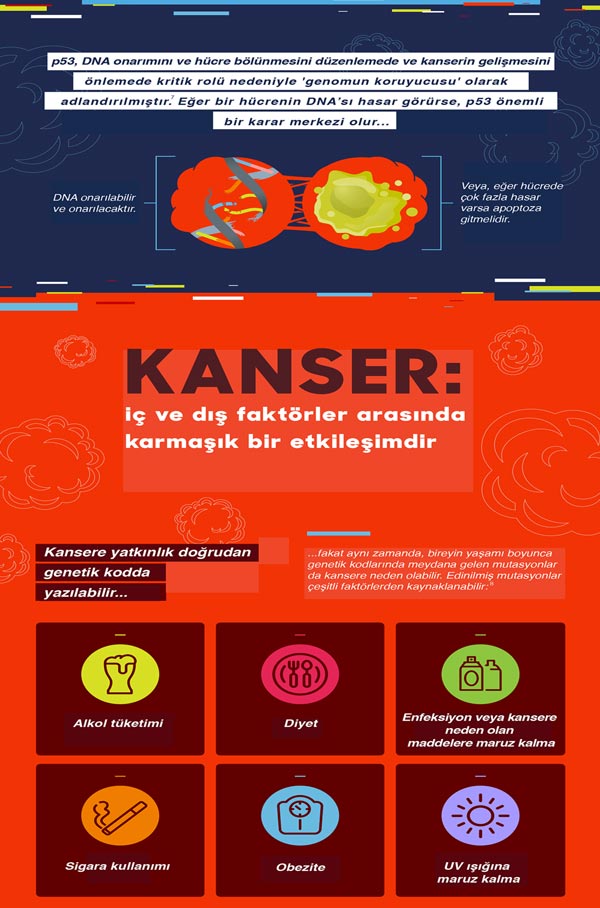 kanser genetigi  (4)