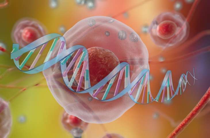 KANSER GENETİĞİ – Genetik testler, kalıtsal kanserler, hassas onkoloji ilaçları – İnfografik posterle anlatım