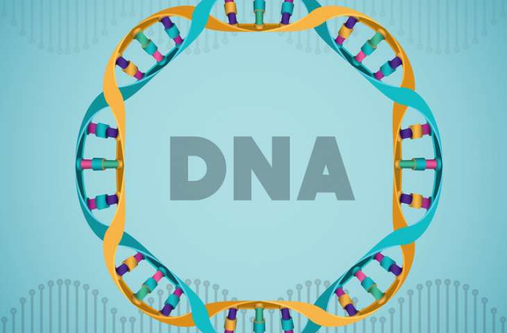 Kanser genetiğinde şaşırtıcı yeni bulgular – gizemli kromozom dışı DNA ve kanserde rolü