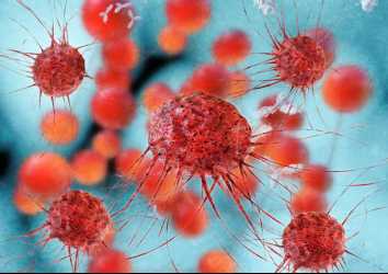 Kanser Hücresinin Bağışıklık Sisteminden Kaçmasına Yarayan Yeni Bir İlaç Hedefi