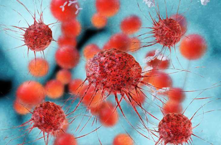 Kanser Hücresinin Bağışıklık Sisteminden Kaçmasına Yarayan Yeni Bir İlaç Hedefi