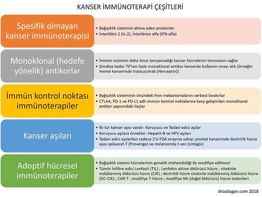 kanser immünoterapi çeşitleri hücresel immünoterapi