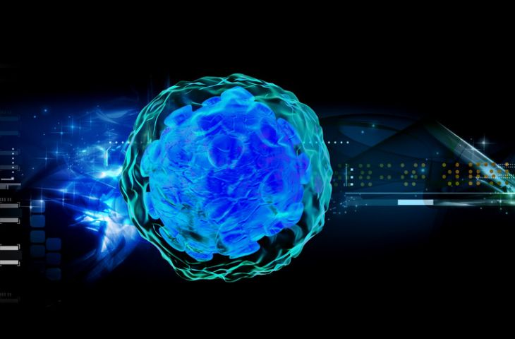 Kanser imünoterapi için yeni gelişme: DNA kodlayan anti-CTLA4 monoklonal antikorlar