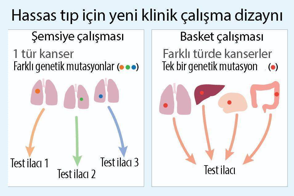 kanser şemsiye ve basket çalışması yeni klinik çalışma tasarımı