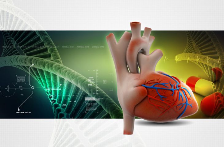 Kanser tedavileri sırasında görülebilen kalp hasarının erken tanısı için bir biyobelirteç keşfedildi