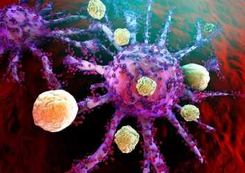 Kanser tedavisinde yeni bir immünoterapi metodu: anti-GARP antikoru