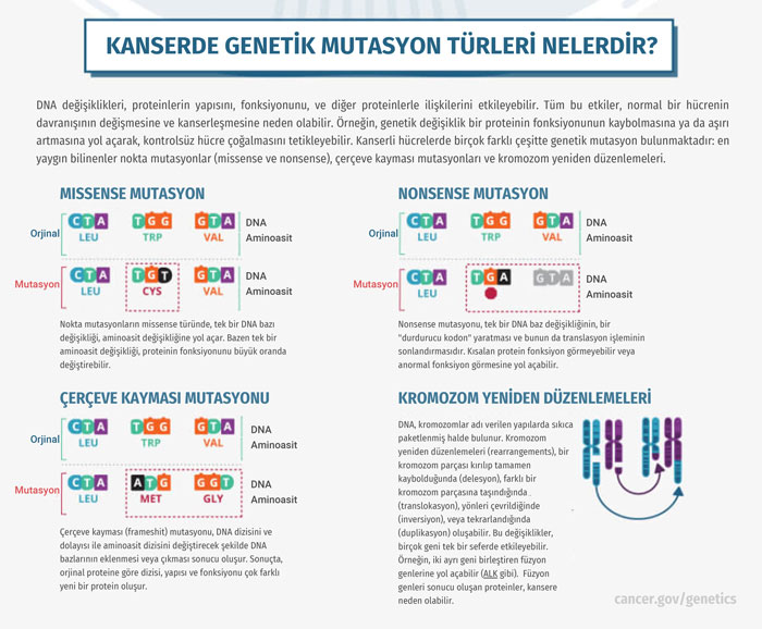 kanserde genetik mutasyon turleri nelerdir