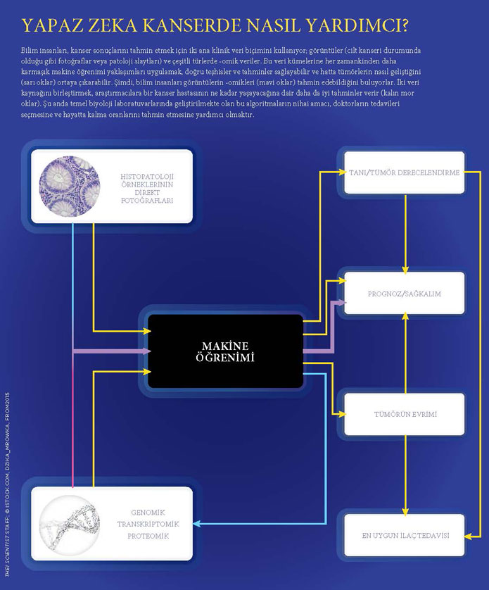 kanserde onkolojide yapay zeka makine öğrenimi omik veriler