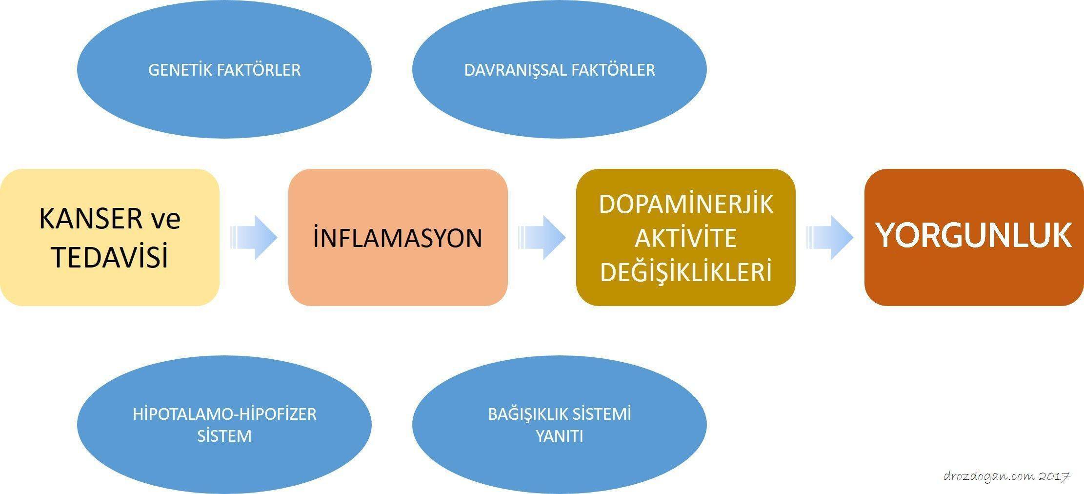 kanserde yorgunlugun ortaya cikmasinda belirleyici olan faktorler