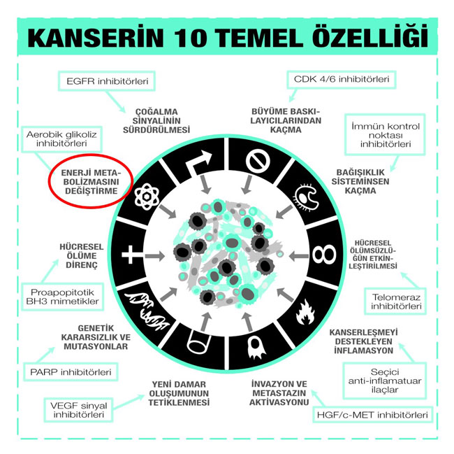 kanserin 10 temel özelliği ve herbirine karşı geliştirilen antikanser ilaç sınıfları