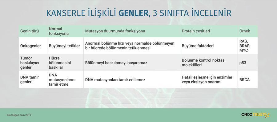 kanserle iliskili genler 3 sinifta incelenir