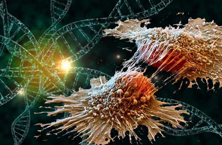 Karsinogenez nedir? Normal bir hücre nasıl kansere dönüşür?