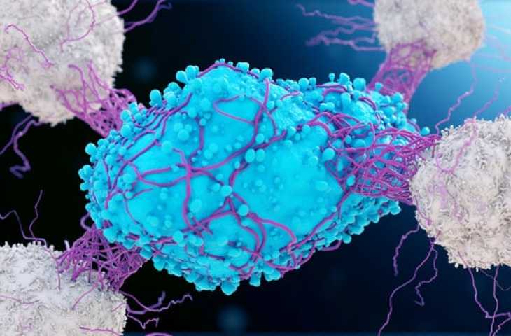 Kanserde 2 immünoterapinin kombinasyonu fark yaratabilir: CAR T hücre ve onkolitik virüs