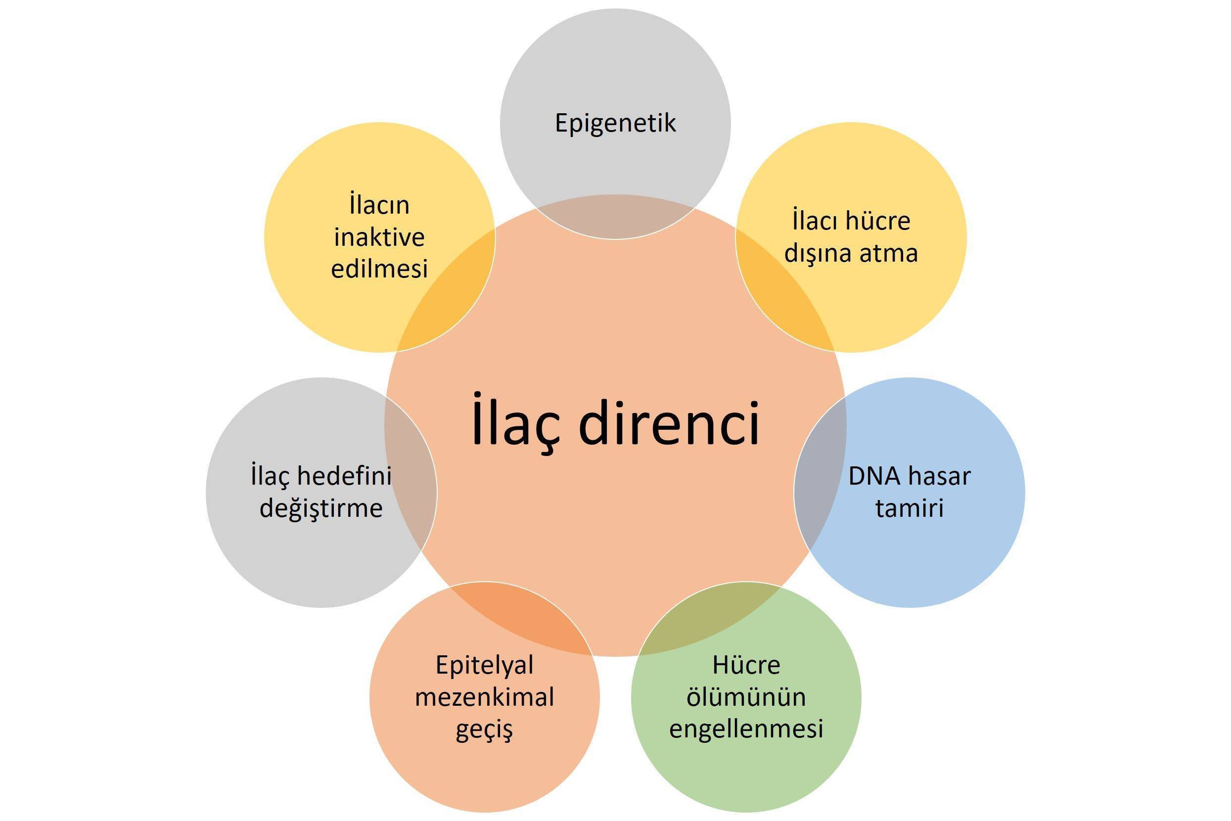 kemoterapi direnci kanser tedavisinde çoklu ilaç dirençliliği