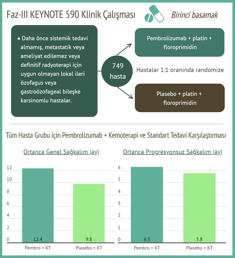 keynote 590 özofagus birinci basamak pembrolizumab fda onayı