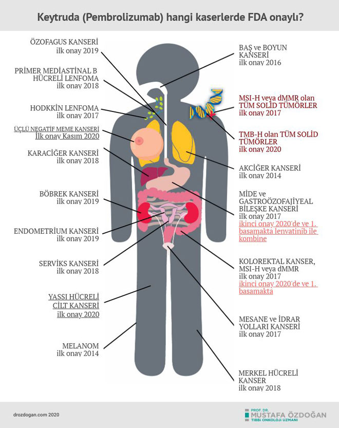 Keytruda (Pembrolizumab) hangi kaserlerde FDA onayli