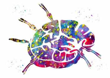 meme ucu hassasiyetinin 8 nedeni prof dr mustafa ozdogan