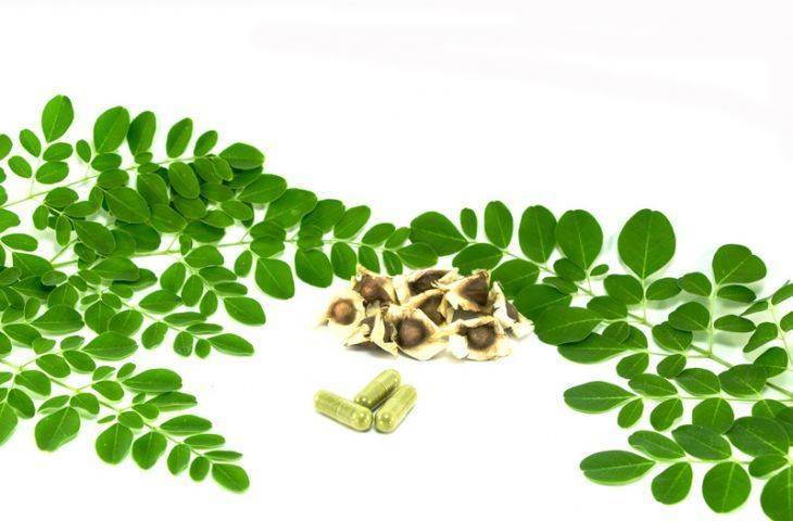 Kontrollü aminoasit (protein kısıtlama) diyet terapisi ve kanser