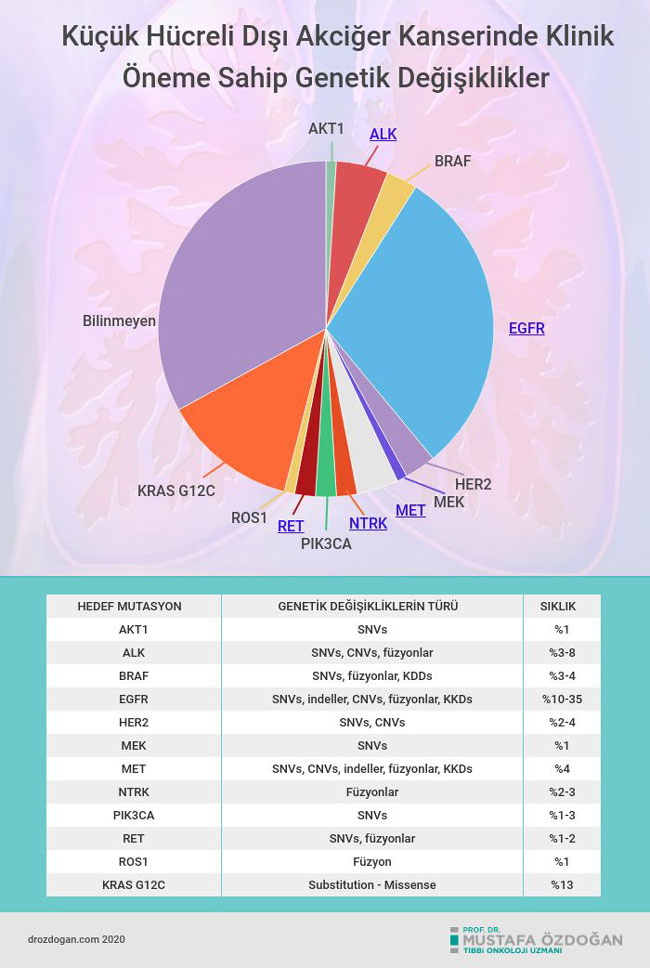 kucuk hucreli disi akciger kanserinde klinik oneme sahip genetik degisiklikler