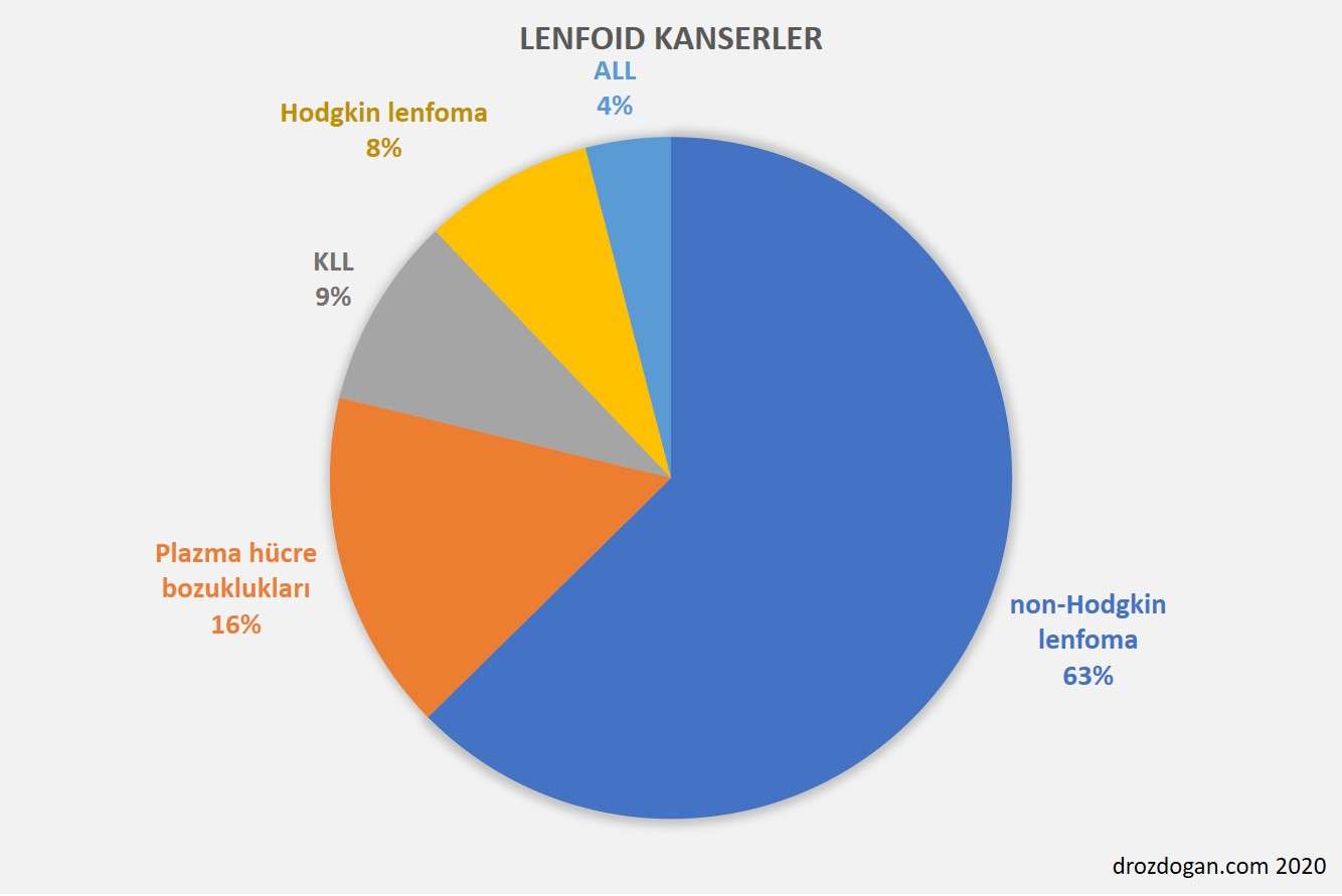 lenfoid kanserler nedir hangileridir