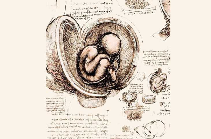 Leonardo’nun Anatomik Çizimleri 1510
