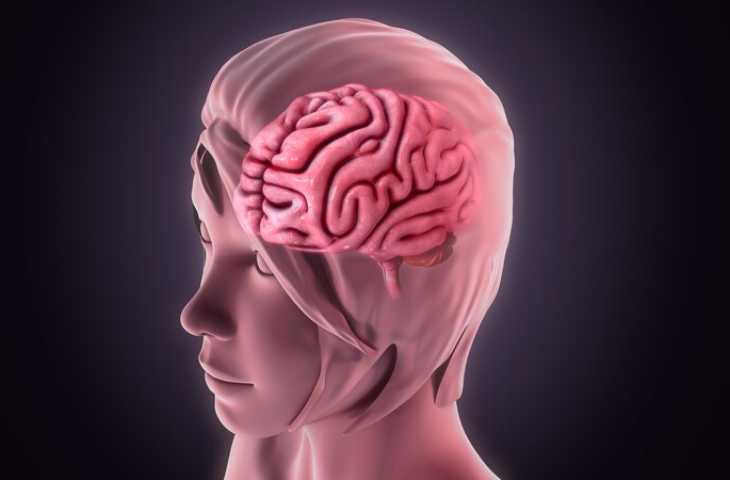 Leptomeningeal metastaz nedir? İmmünoterapi bu durumda ne kadar etkilidir?
