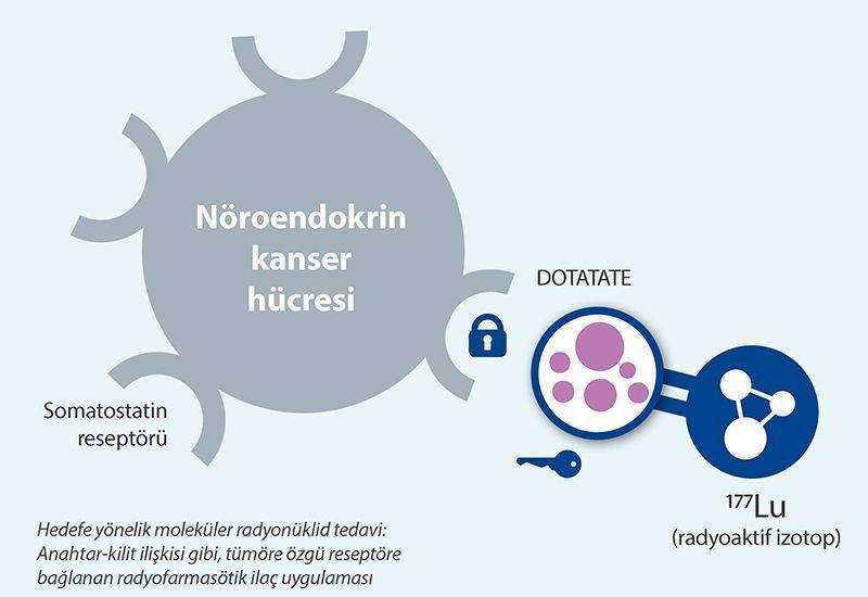 lutesyum lu 177 dotatate nöroendokrin tümör tedavisi