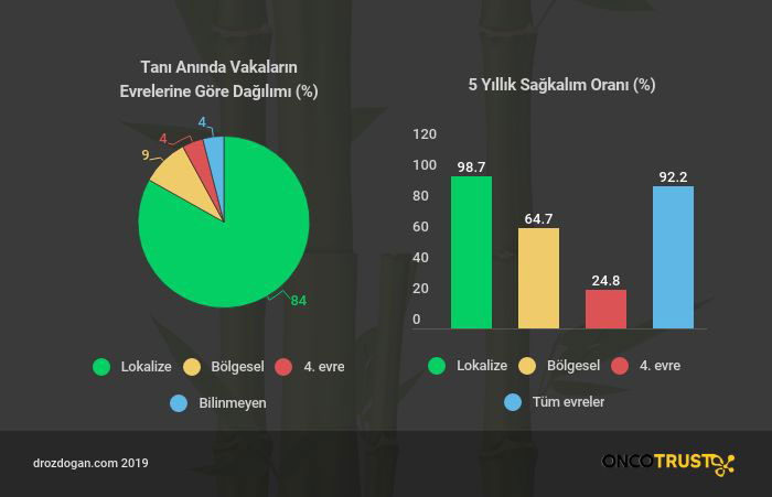 melanom sagkalim istatistikleri seer data