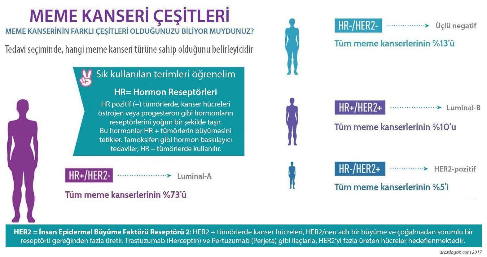 meme kanseri turleri akilli ilac herceptin luminal her2 pozitif ucu negatif hormon ostrojen ve prog