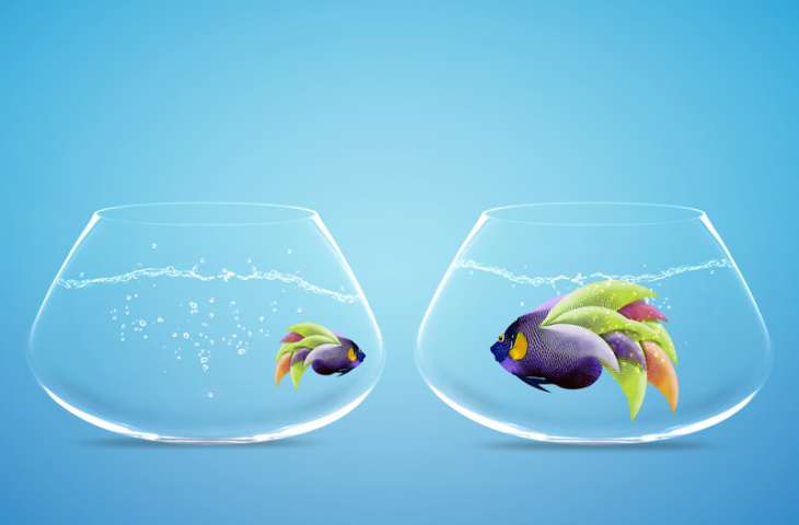Zihin sağlığı için MIND diyet nedir?