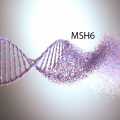 MSH6 mutasyonu nedir? Hangi kanserlerin riskini artırır?