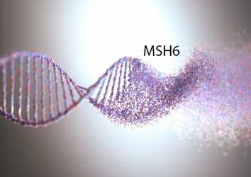 MSH6 mutasyonu nedir? Hangi kanserlerin riskini artırır?