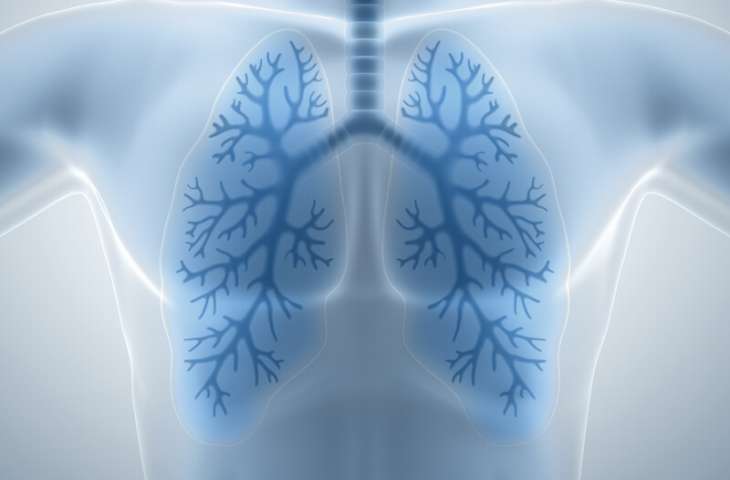 New Prognostic Markers in Patients with Lung Cancer Treated with Immunotherapy – NLR and PLR
