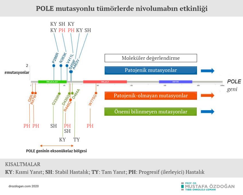 nivolumab nadir edpole mutasyonu olan hastalarda etkili