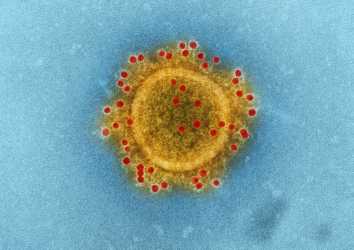 Omicron ile Diğer Koronavirüs Varyantları Arasında Farklar Nelerdir?