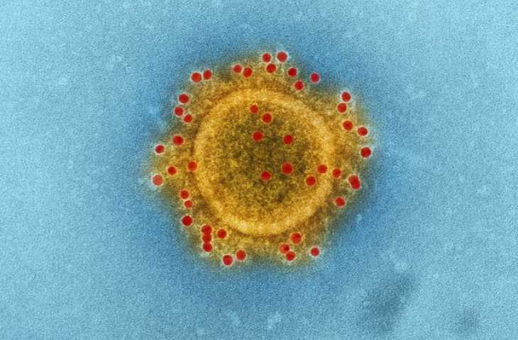 Omicron ile Diğer Koronavirüs Varyantları Arasında Farklar Nelerdir?